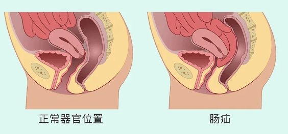 微信截圖_20240515154454.png