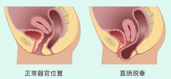 微信截圖_20240515154513.png