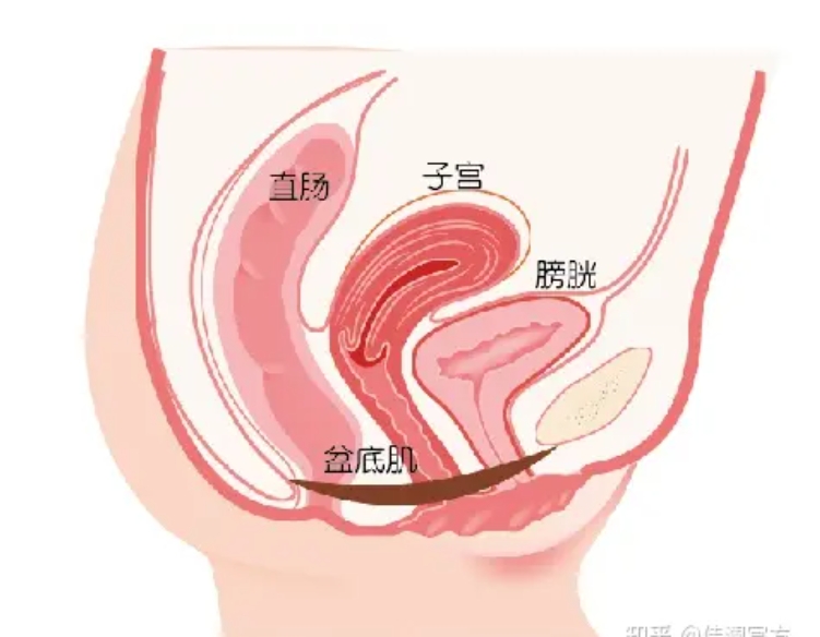 微信截圖_20240530152741.png