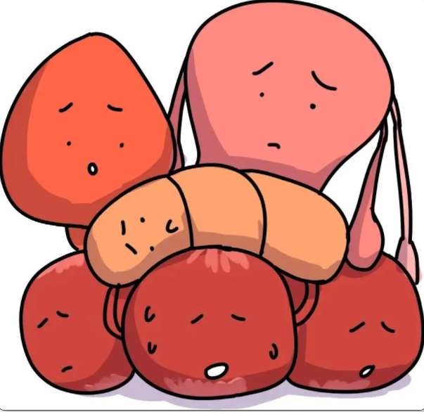 微信截圖_20211101152750.png