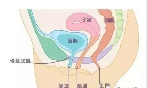 微信截圖_20240812153320.png