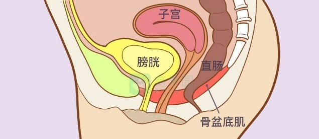 微信截圖_20220414164550.png