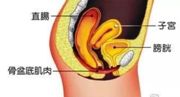 微信截圖_20200421142656.png