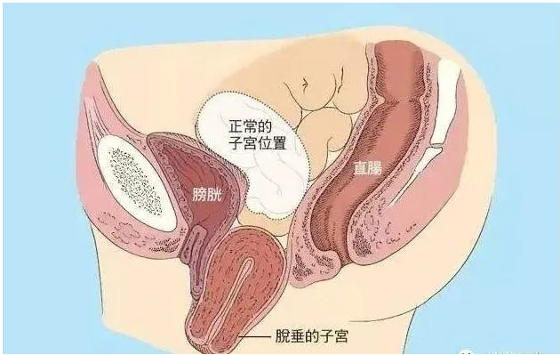微信截圖_20210304141922.png