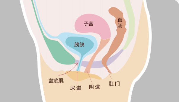 微信截圖_20230209153003.png