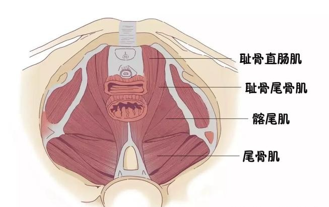 微信截圖_20220510170031.png
