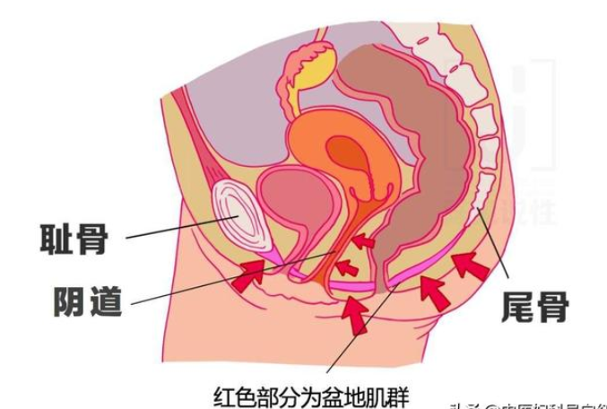 微信截圖_20200421144141.png